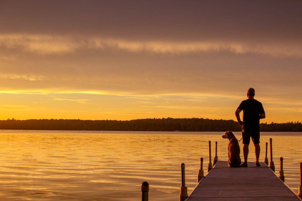 Night photo of man and his dog silhouette on a dock