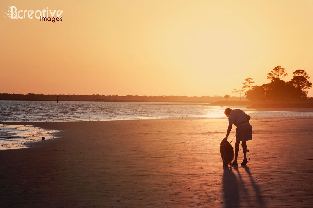 silhouette of woman and dog on beach