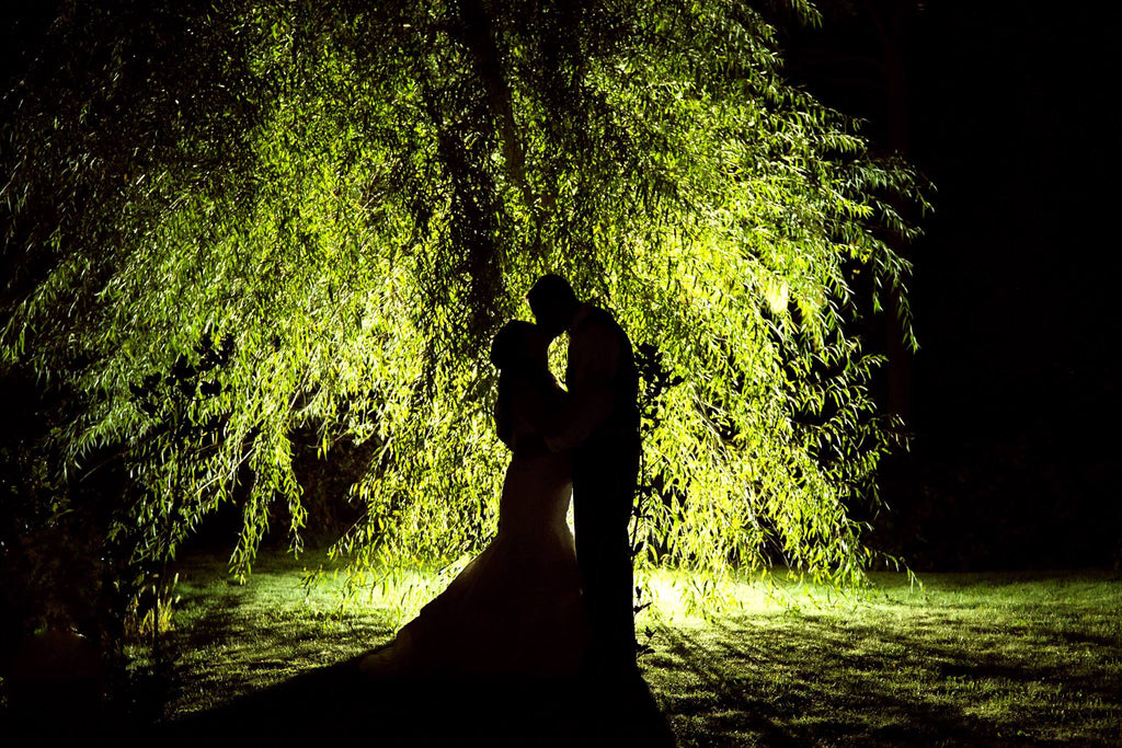 wedding silhouette photograph of couple kissing in front of lit up tree 