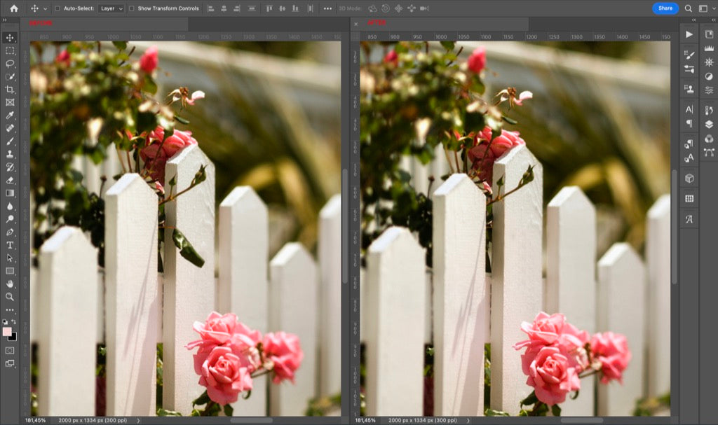 How to Remove Object From Picture Using Photoshop