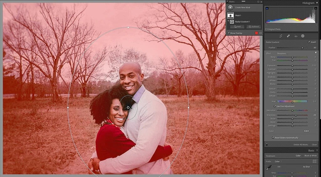 How to Blur Background in Lightroom (3 Different Methods) - Pretty Presets  for Lightroom