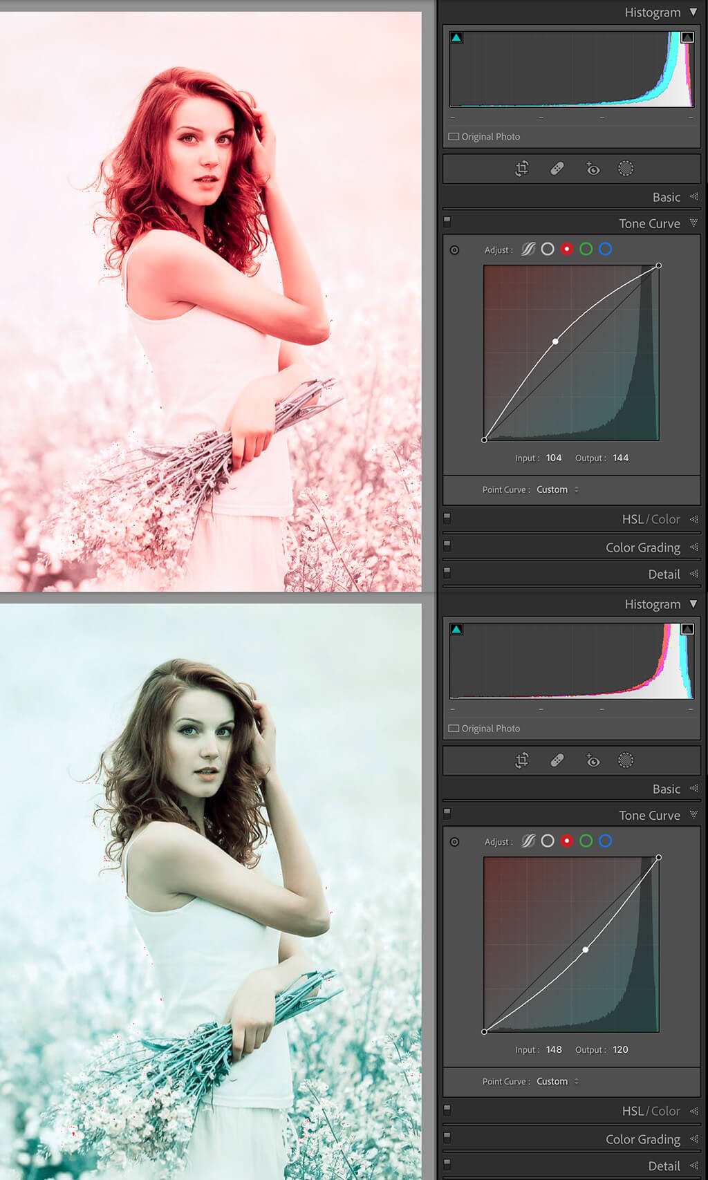 How to Use Point Curve in Lightroom