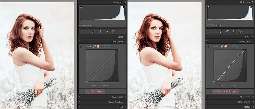 How to Use the Light Curve in Lightromm