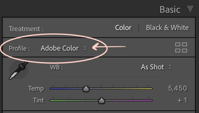 Lightroom Profile