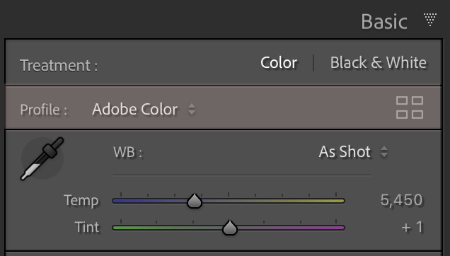 Lightroom Profiles