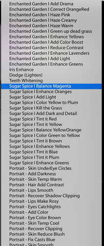 Lightroom brushes now correctly in order after creating folders