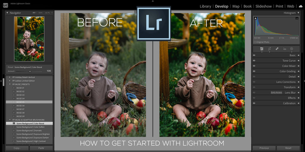 Lightroom for Beginners