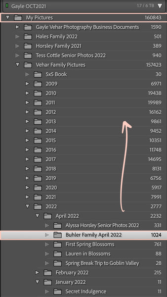 How to Move a Folder in Lightroom
