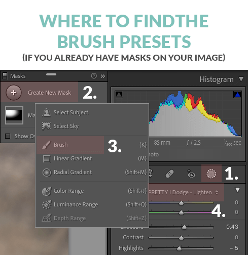 Where to find Lightroom brush presets