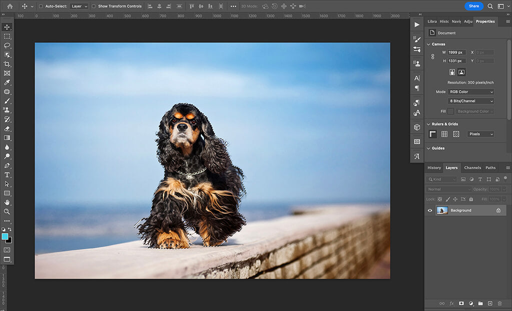 How to Use the Select Tool in Photoshop