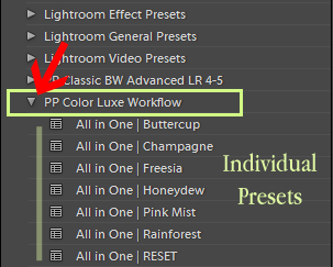 preset panel in lightroom