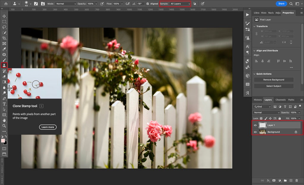 How to Erase Object in Photoshop