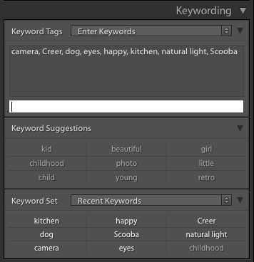 How to Add Tags to Your Photos in Lightroom