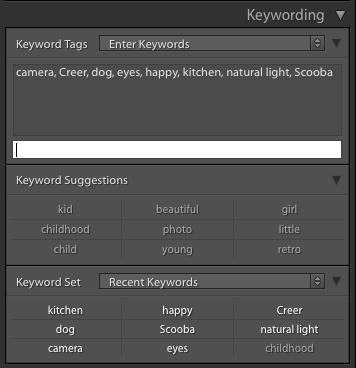 Add Keywords to Photos