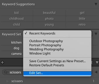 How to edit a keyword set in Lightroom