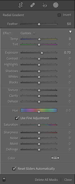 How to Use Radial Filter in Lightroom