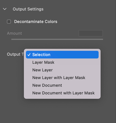 Refine Edge Output Settings Panel