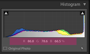 Lightroom Skin Tone Too Orange