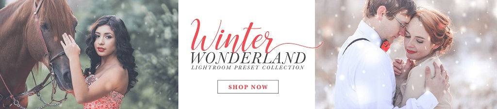 Winter Lightroom Presets