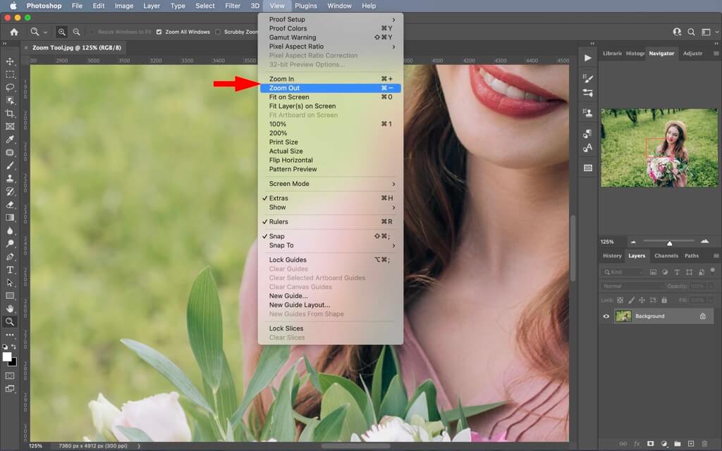 How to Zoom in Photoshop