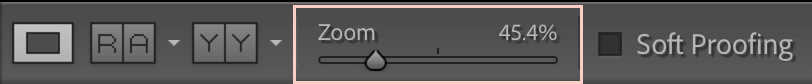 Lightroom Zoom