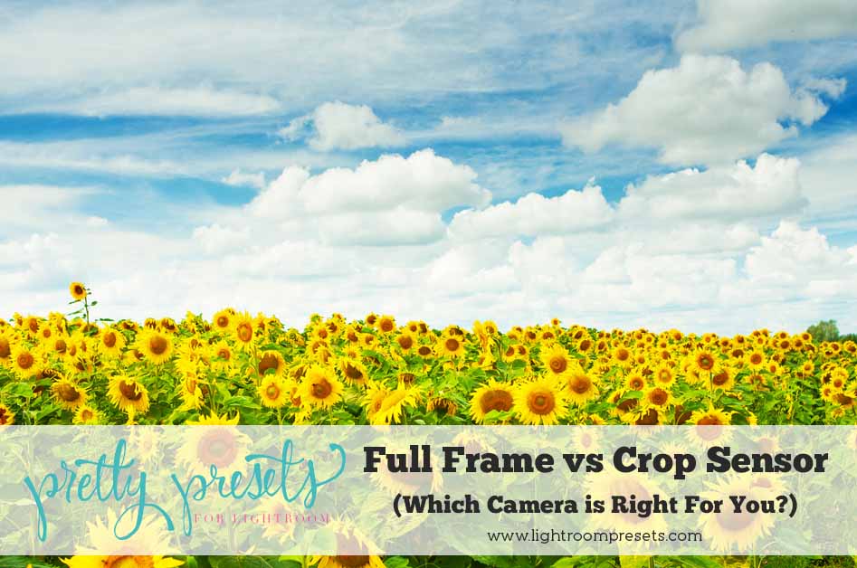 crop vs full frame