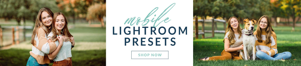 Lightroom Mobile Preset Collections
