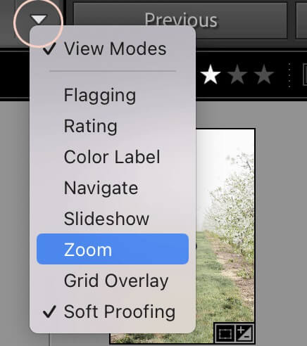 Lightroom Zooming