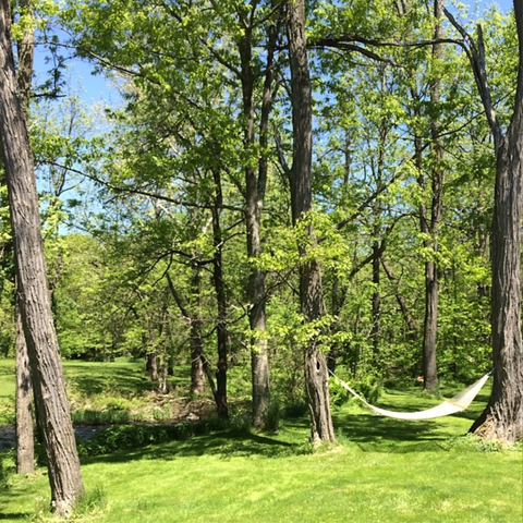 Hilary France's home in upstate New York