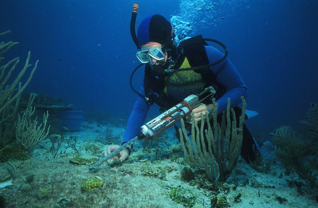 Scientist under the sea (not in Oxford)