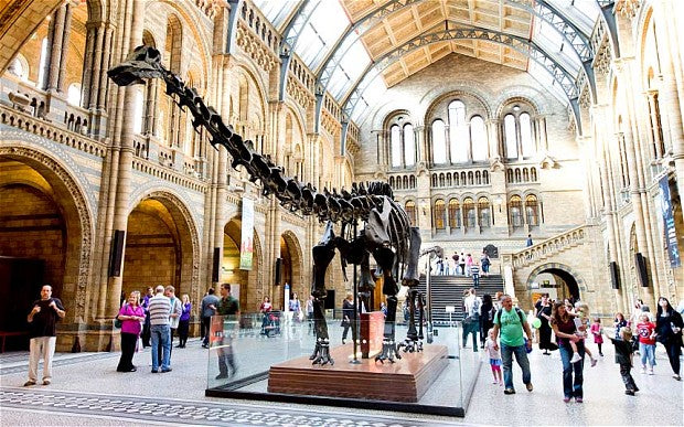 Interior of the National History Museum in London, near Oxford