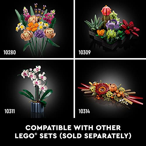 LEGO Icons Orchidee, Künstliche Pflanzen Set mit Blumen, Modellbausatz für  Erwachsene, Home und Zimmer-Deko, Botanische Sammlung, Geschenke für  Ehefrau oder Ehemann, Sie und Ihn 10311: : Spielzeug