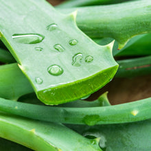 Organic Aloe Vera