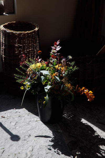 Autumnal hand-tied bouquets available for nationwide delivery. 