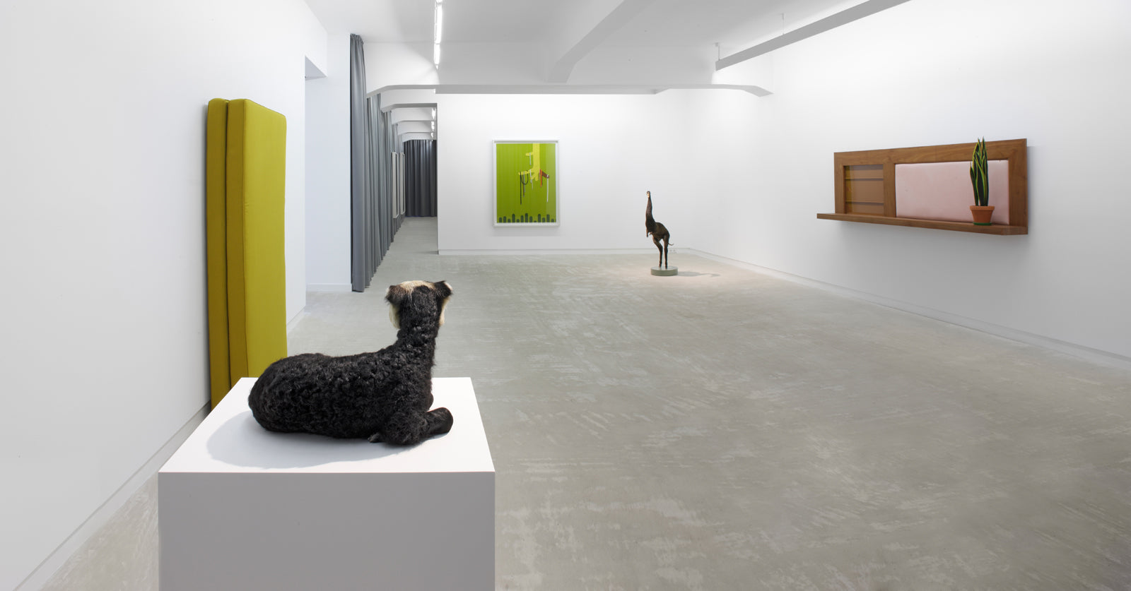 Thomas Grünfeld, Thébaïde, Installation view, 2008, Galerie Michael Janssen, Berlin