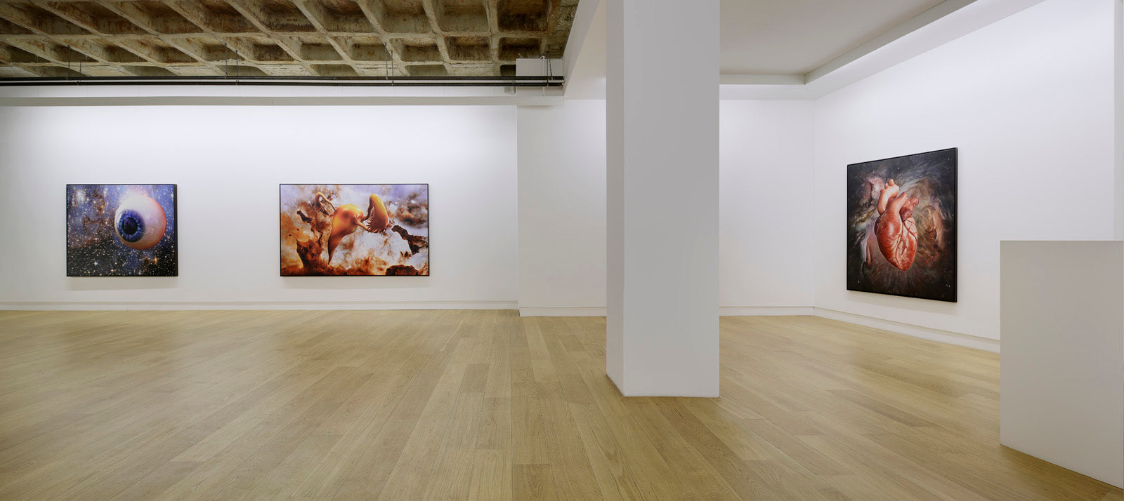 Christoph Steinmeyer, Bilder für Alle und Keinen, Installation view, 2014, Galerie Michael Janssen Berlin