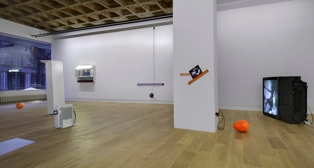 Assaf Gruber, Every Corner of the Soul, Installation view, 2013, Galerie Michael Janssen Berlin