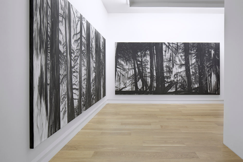 Titarubi, Burning Boundaries, Installation view, 2013, Galerie Michael Janssen Berlin