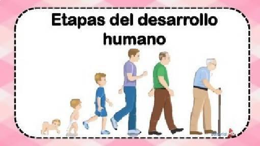 Etapas del Desarrollo Humano por Editorial MD – Maesdi