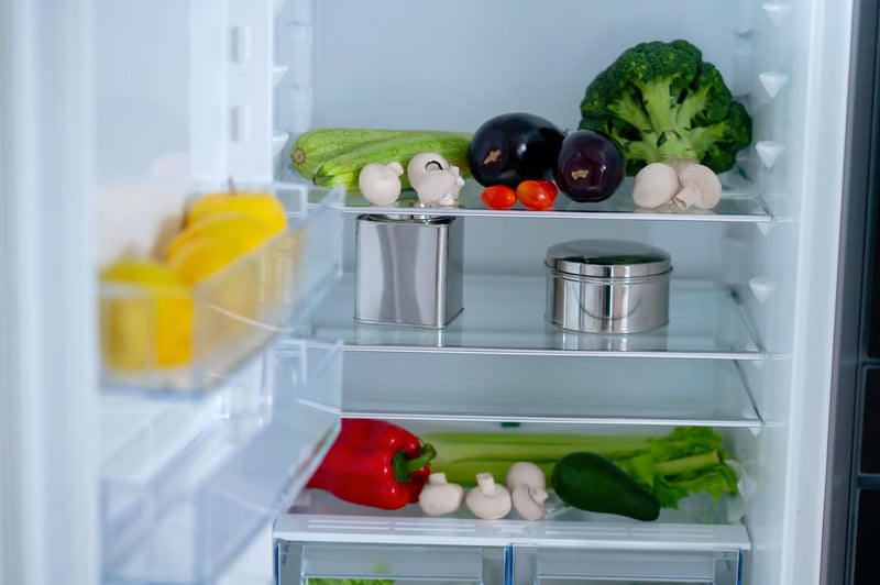 Unveiling the Inner Workings of Your Refrigerator: A Comprehensive ...