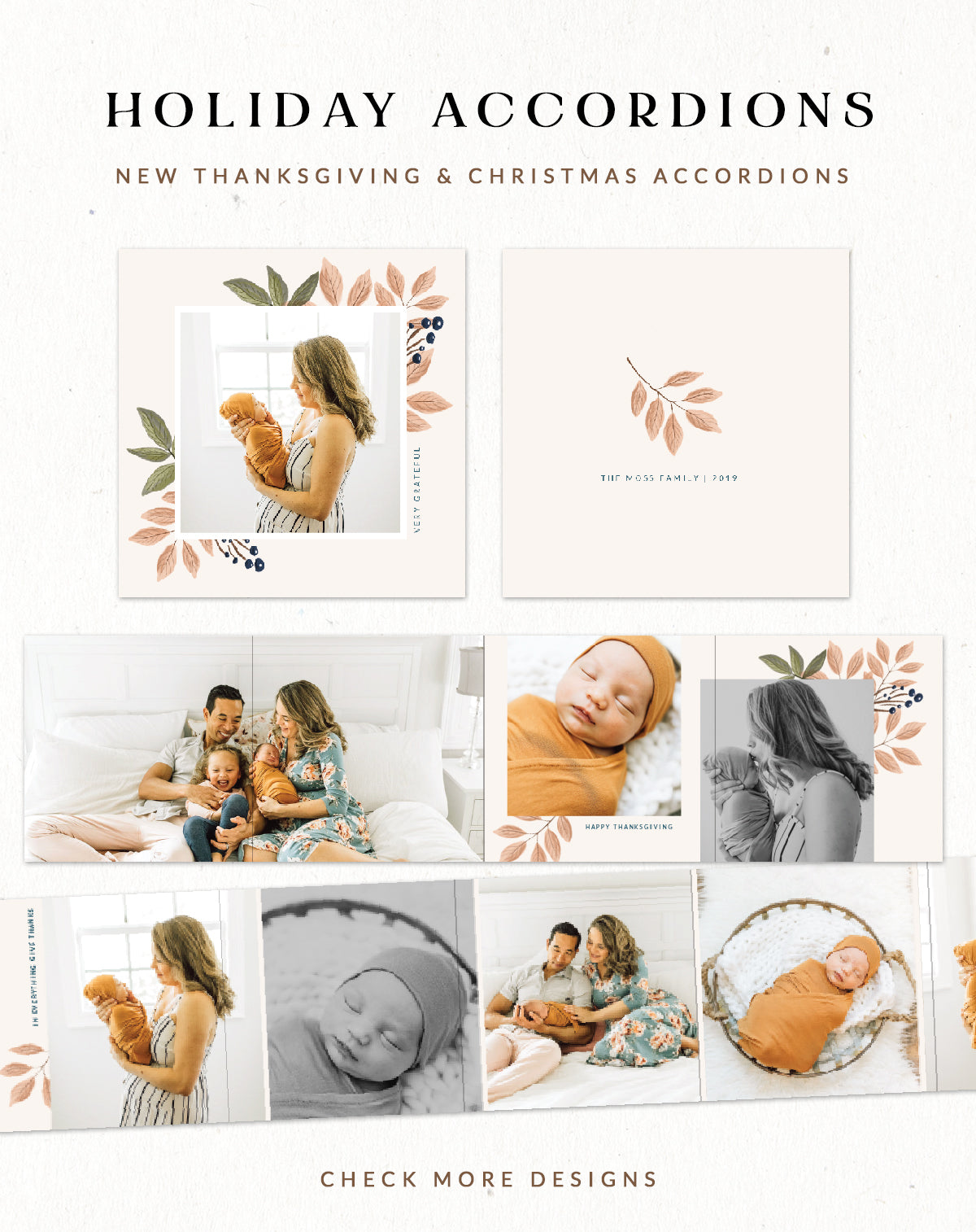 Miller's Lab accordion mini templates for photographers