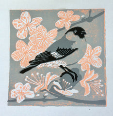 Female Bullfinch Linocut Print by Louise Slater