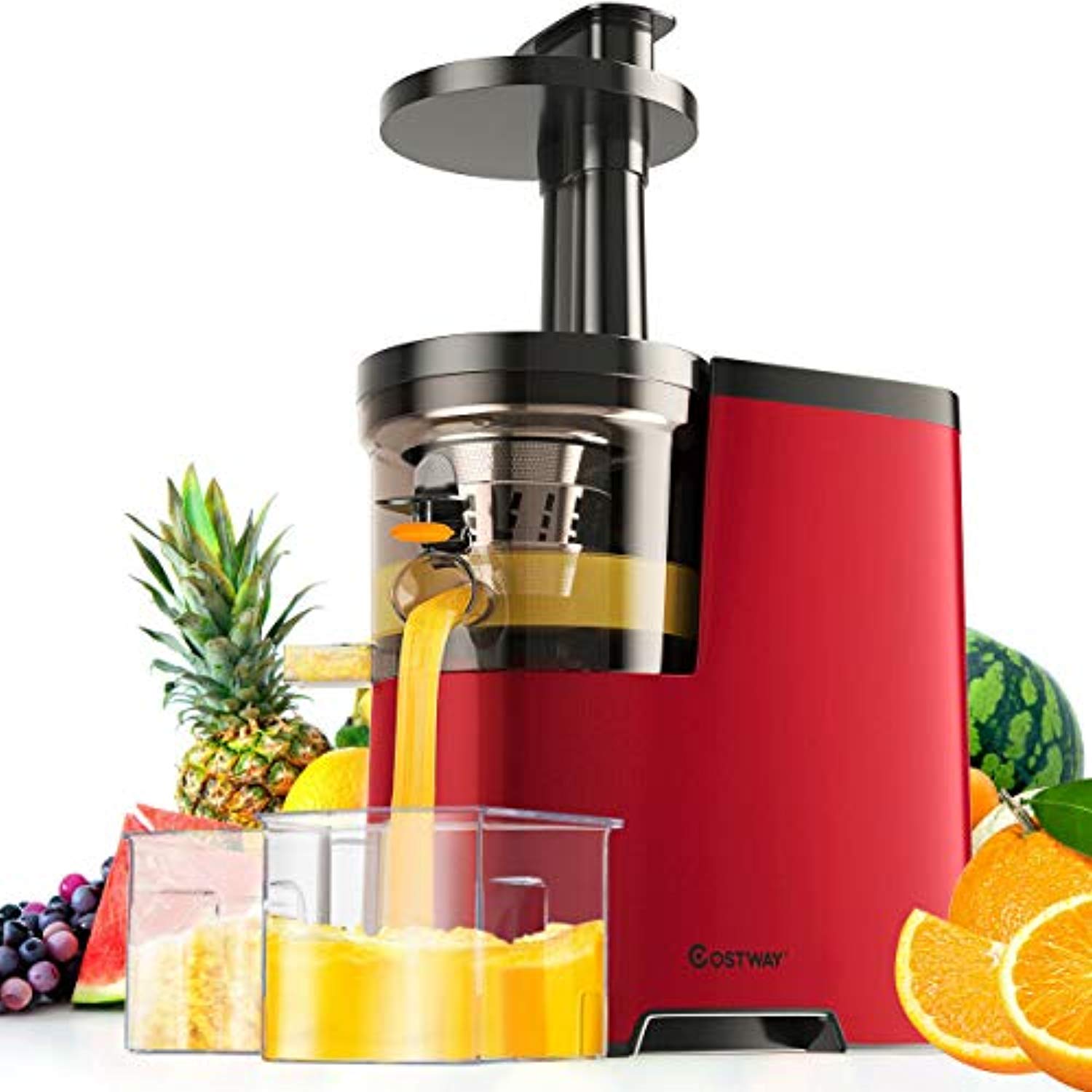 masticating juicer