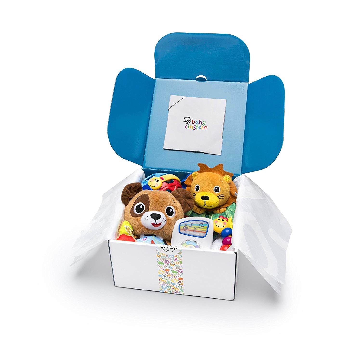 baby einstein music toy