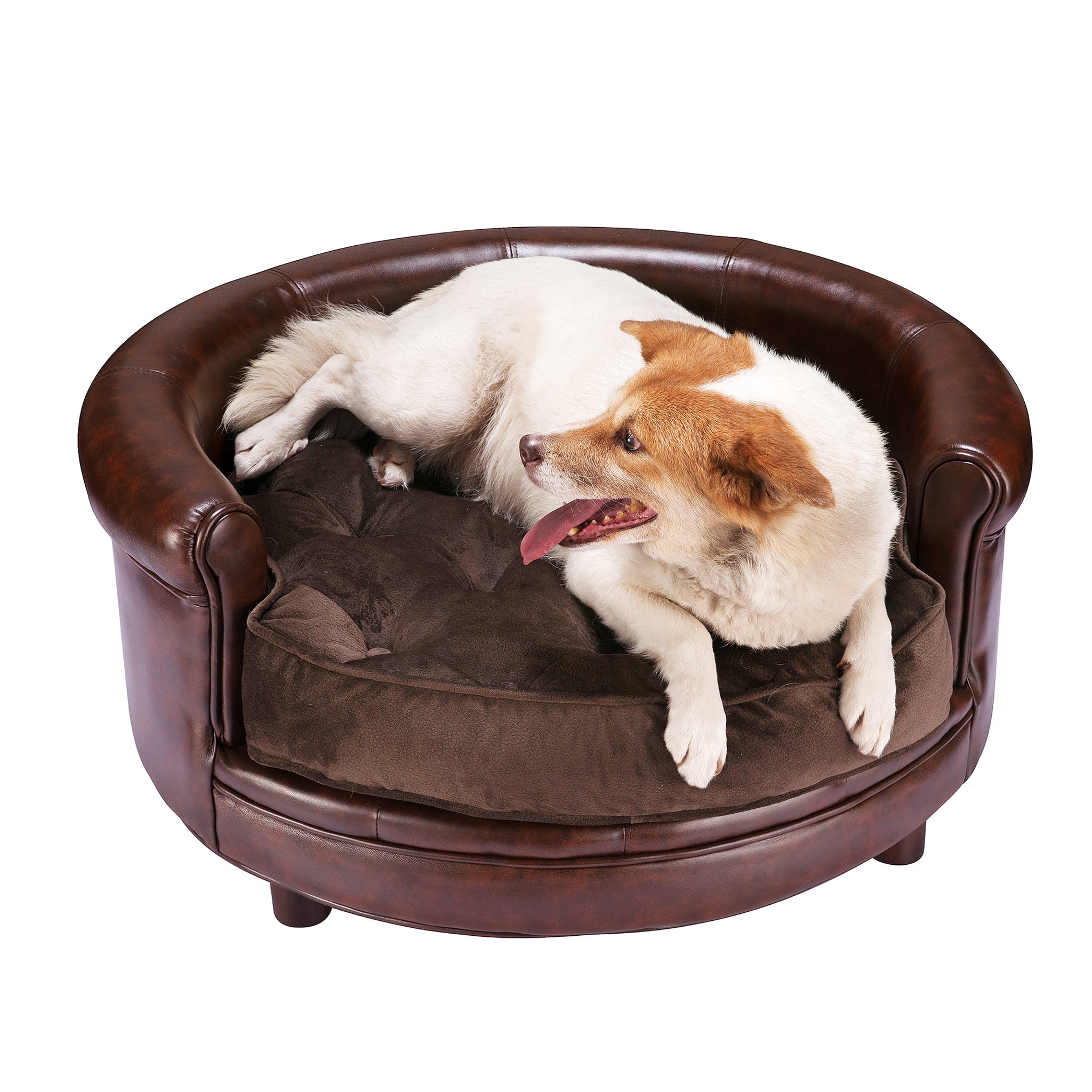 designer large dog beds