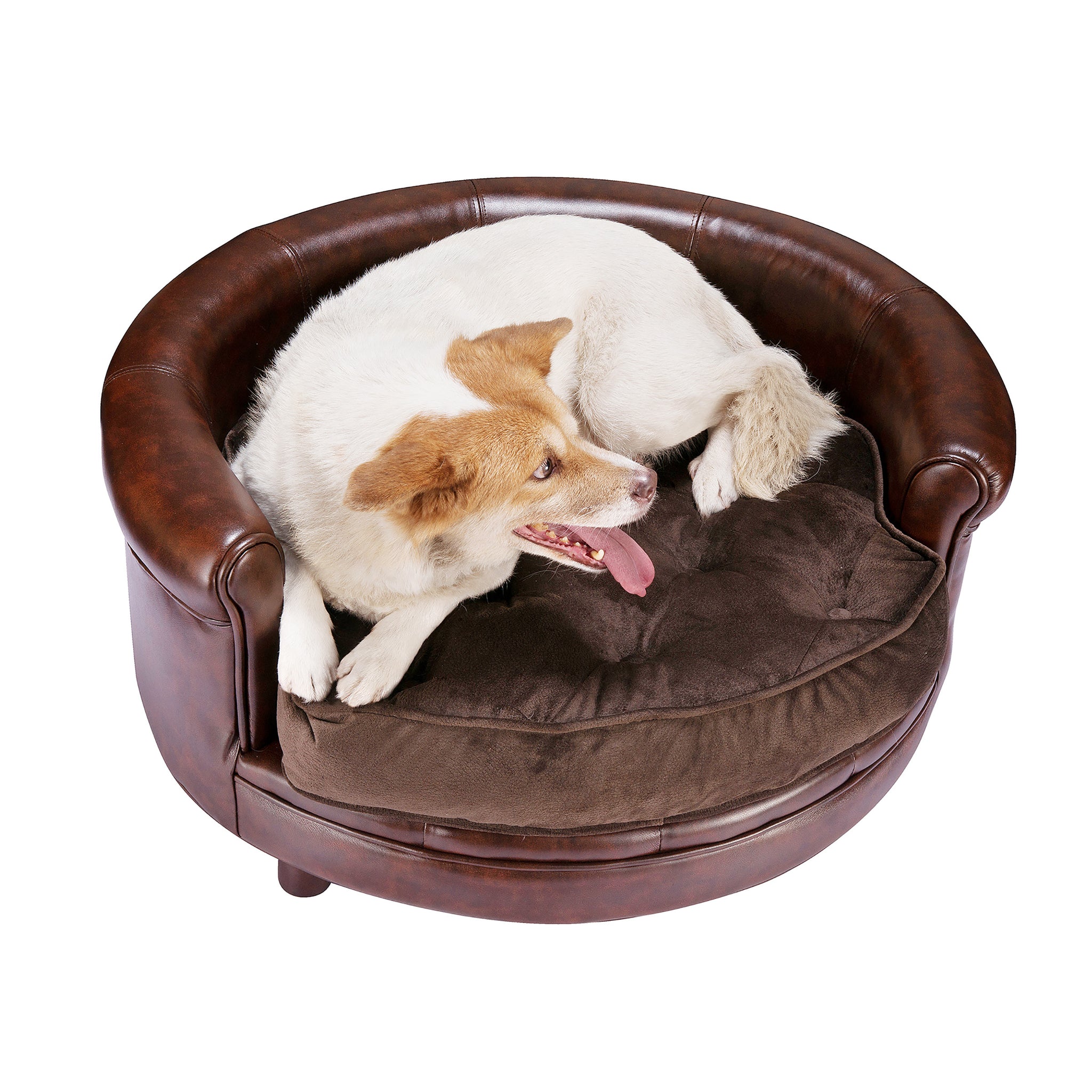 designer large dog beds