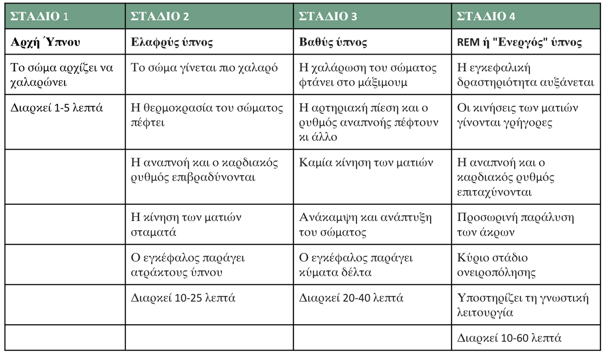  ΔΙΑΦΟΡΕΤΙΚΕΣ ΦΑΣΕΙΣ ΤΟΥ ΥΠΝΟΥ