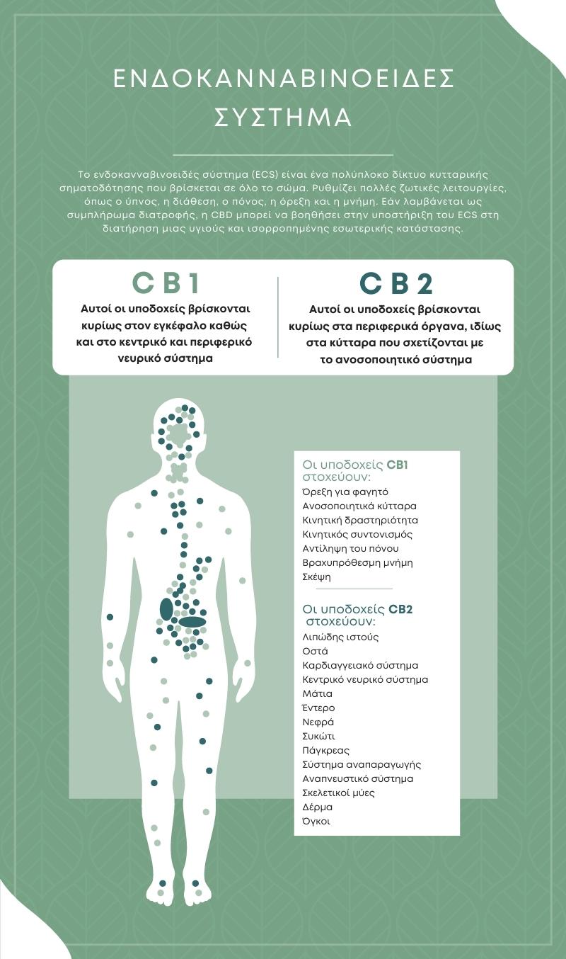 cbd ενδοκανναβινοειδες συστημα