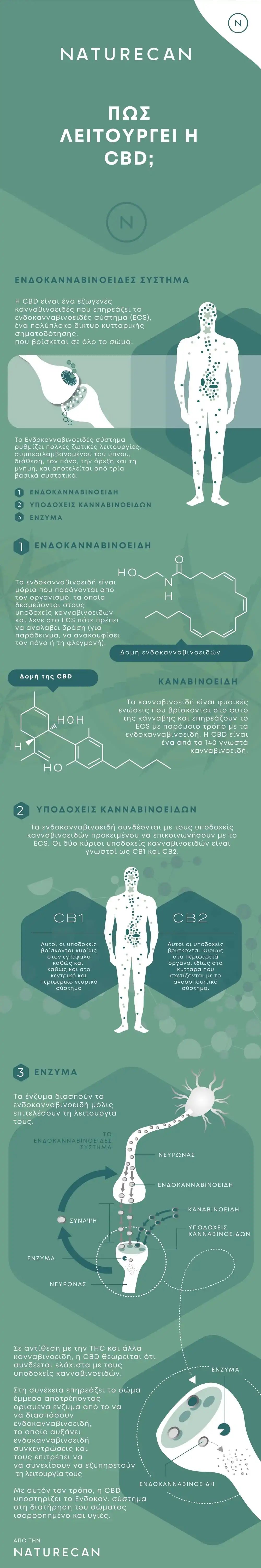 cbd oil πως λειτουργει