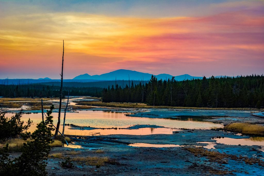 image of wetlands with mountain in background